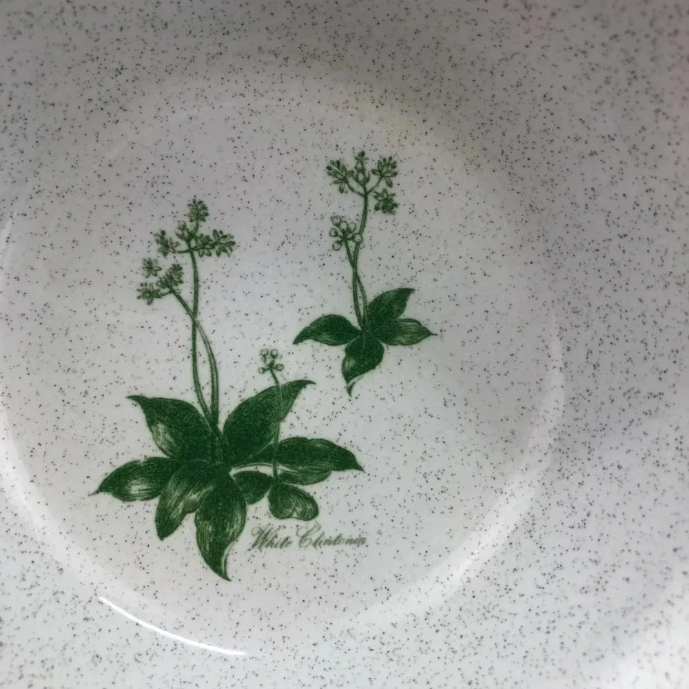 vintage Mountain Flowers Green by NORITAKE bundle choice of bowl or plate